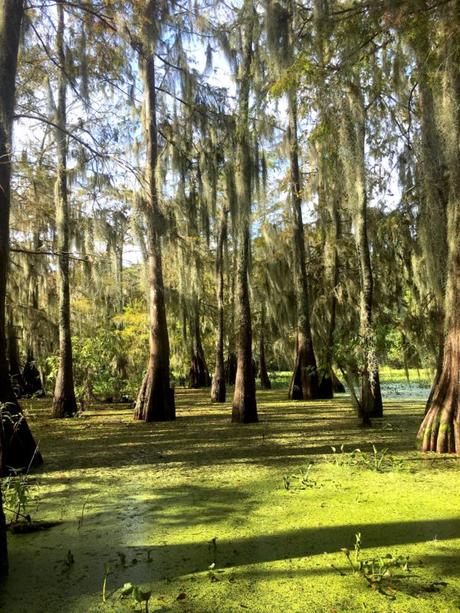 Voyage aux US : une semaine en Louisiane Voyage aux US : une semaine en Louisiane
