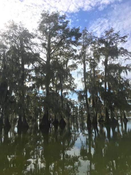 Voyage aux US : une semaine en Louisiane