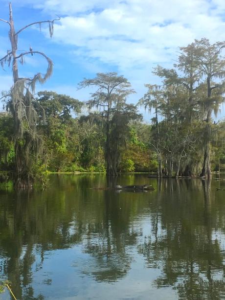 Voyage aux US : une semaine en Louisiane Voyage aux US : une semaine en Louisiane