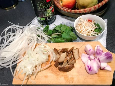 Mon wok Vietnamien – Nouille Pho sautées au seitan et aux herbes