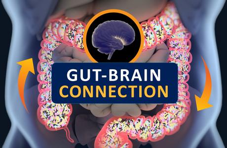 Jusqu’à maintenant, personne n'a encore compris comment les MICI et d'autres affections gastro-intestinales chroniques influent sur le comportement et la santé mentale Jusqu’à maintenant, personne n'a encore compris comment les MICI et d'autres affections gastro-intestinales chroniques influent sur le comportement et la santé mentale