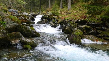 Le Questionnaire de Proust