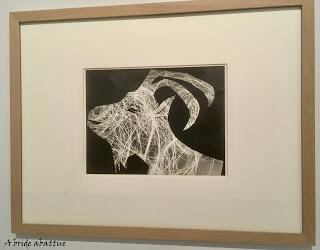 Picasso Illustrateur au MUba Eugène-Leroy de Tourcoing