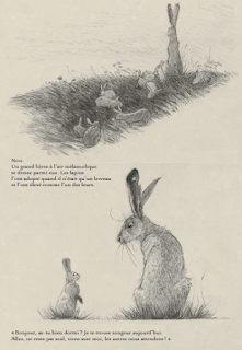 Le lièvre et les lapins de Timothée Le Véel