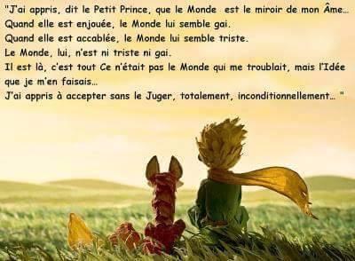 Le monde, par le Petit Prince