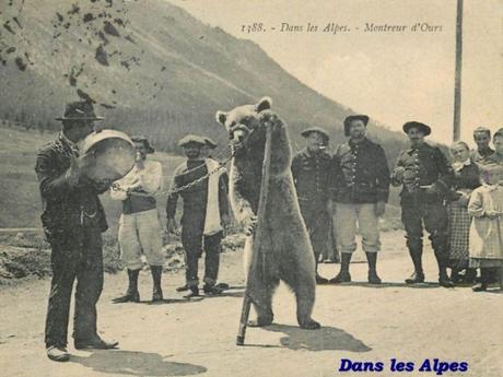 Embrasse l'ours - Marc Graciano