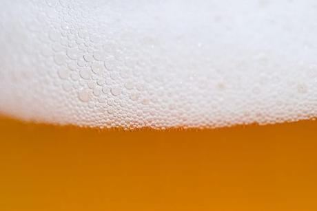 Info bière – Si nous ne nous élevons pas pour résister à la sécheresse, votre verre à bière sera sec
 – Malt