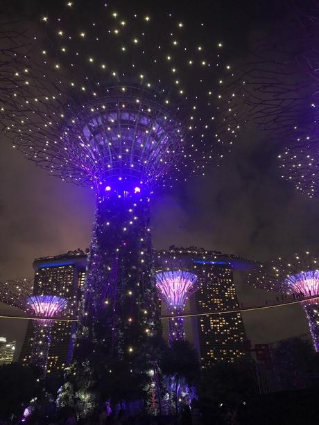 Pays Etranger - Singapour - Son et lumière -