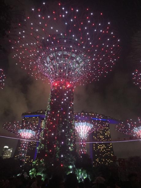 Pays Etranger - Singapour - Son et lumière -