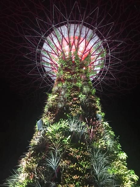 Pays Etranger - Singapour - Son et lumière -