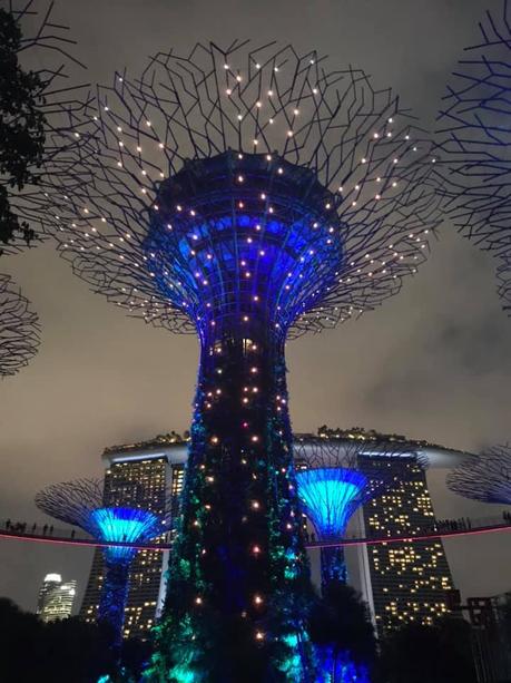 Pays Etranger - Singapour - Son et lumière -