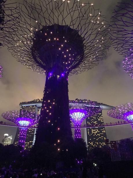 Pays Etranger - Singapour - Son et lumière -