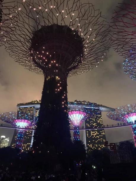 Pays Etranger - Singapour - Son et lumière -