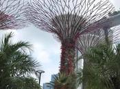 Pays Etranger Singapour lumière