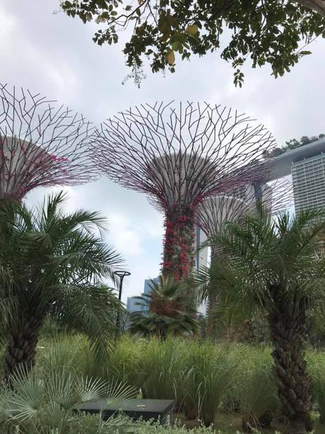 Pays Etranger - Singapour - Son et lumière -