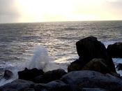 vampire vautour fait spectacle?