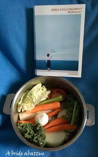 Baikonour d'Odile d’Oultremont aux Éditions de l’Observatoire.