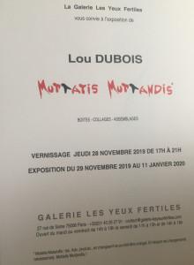 Galerie Les Yeux Fertiles    Lou DUBOIS  « Muttatis Muttandis » 29 Novembre au 11 Janvier 2019