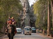 Cambodge interdit enfin balades d’éléphants