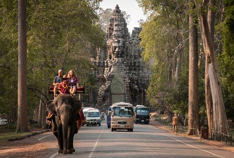 Le Cambodge interdit enfin les balades à dos d’éléphants