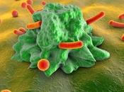 MICROBIOTE INTESTINAL moduler pour retarder vieillissement