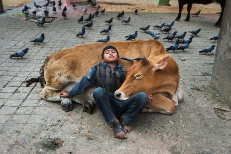 Les photos poignantes de Steve McCurry qui représentent le lien entre humain et animaux
