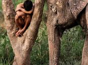 photos poignantes Steve McCurry représentent lien entre humain animaux