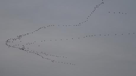 Fin de journée en mode « grue »