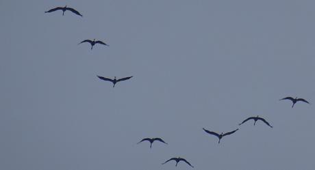 Fin de journée en mode « grue »