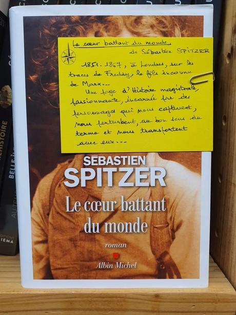 Le-coeur-battant-du-monde-Sebastien-Spitzer
