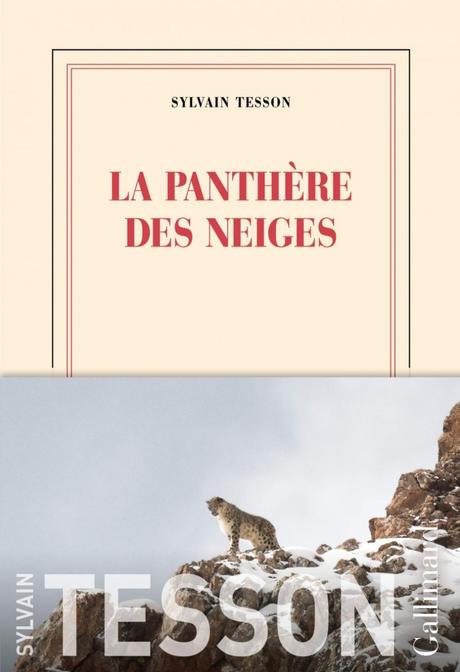 pantherre