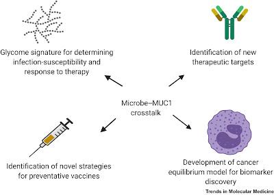 #trendsincancer #MUC1 #infections #microbe Diaphonie Microbe-MUC1 dans les Infections Associées au Cancer