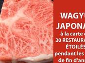 Quand l’harmonie entre goût, l’arôme texture Wagyu japonais vous invite dans nouveau monde viande bœuf