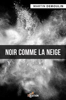 Noir comme la neige, de Martin Demoulin