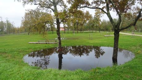 Sauvons les chênes de l’eau