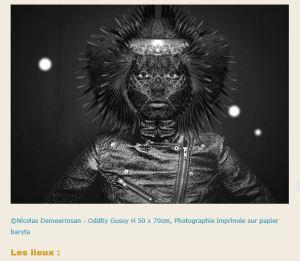 « BIZARRO » Fantômes du cinéma-  dans plusieurs galeries à Paris 6me- Galerie Géraldine BANIER ’29 Novembre au 4 Janvier 2020