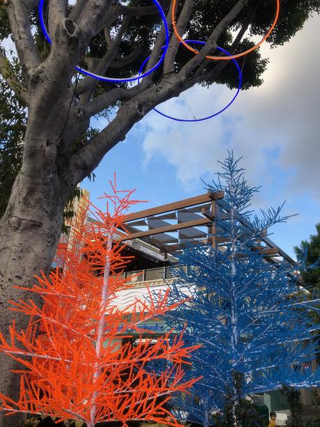 Bière artisanale – REPORTAGE PHOTO: Downtown Disney les 24/11/19 (des centaines d'arbres au néon en plastique, le New Street Eats Bistro et bien d'autres)
 – Mousse de bière