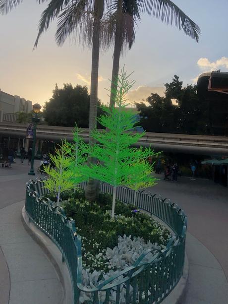 Bière artisanale – REPORTAGE PHOTO: Downtown Disney les 24/11/19 (des centaines d'arbres au néon en plastique, le New Street Eats Bistro et bien d'autres)
 – Mousse de bière