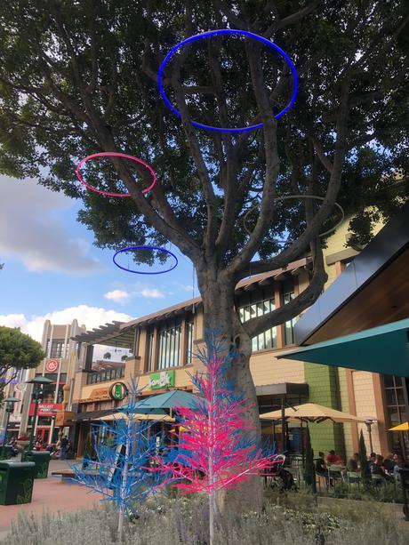 Bière artisanale – REPORTAGE PHOTO: Downtown Disney les 24/11/19 (des centaines d'arbres au néon en plastique, le New Street Eats Bistro et bien d'autres)
 – Mousse de bière