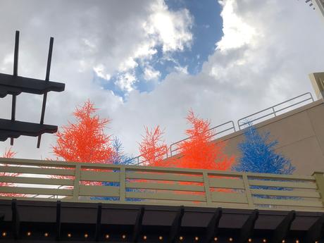 Bière artisanale – REPORTAGE PHOTO: Downtown Disney les 24/11/19 (des centaines d'arbres au néon en plastique, le New Street Eats Bistro et bien d'autres)
 – Mousse de bière