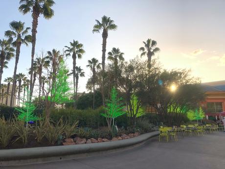 Bière artisanale – REPORTAGE PHOTO: Downtown Disney les 24/11/19 (des centaines d'arbres au néon en plastique, le New Street Eats Bistro et bien d'autres)
 – Mousse de bière