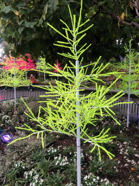 Bière artisanale – REPORTAGE PHOTO: Downtown Disney les 24/11/19 (des centaines d'arbres au néon en plastique, le New Street Eats Bistro et bien d'autres)
 – Mousse de bière