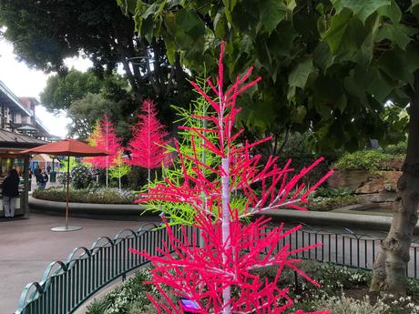 Bière artisanale – REPORTAGE PHOTO: Downtown Disney les 24/11/19 (des centaines d'arbres au néon en plastique, le New Street Eats Bistro et bien d'autres)
 – Mousse de bière