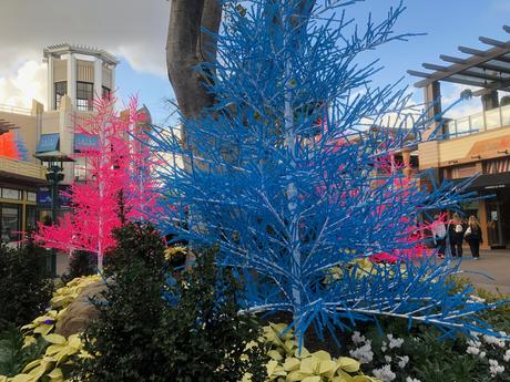 Bière artisanale – REPORTAGE PHOTO: Downtown Disney les 24/11/19 (des centaines d'arbres au néon en plastique, le New Street Eats Bistro et bien d'autres)
 – Mousse de bière