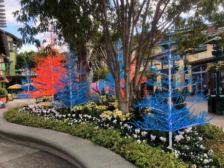 Bière artisanale – REPORTAGE PHOTO: Downtown Disney les 24/11/19 (des centaines d'arbres au néon en plastique, le New Street Eats Bistro et bien d'autres)
 – Mousse de bière