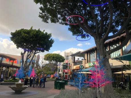 Bière artisanale – REPORTAGE PHOTO: Downtown Disney les 24/11/19 (des centaines d'arbres au néon en plastique, le New Street Eats Bistro et bien d'autres)
 – Mousse de bière