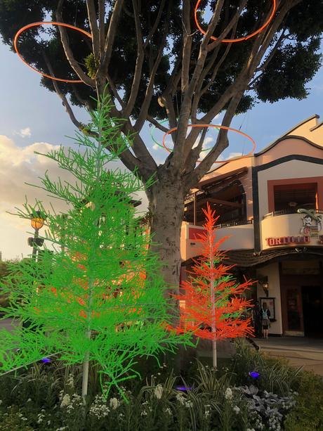 Bière artisanale – REPORTAGE PHOTO: Downtown Disney les 24/11/19 (des centaines d'arbres au néon en plastique, le New Street Eats Bistro et bien d'autres)
 – Mousse de bière