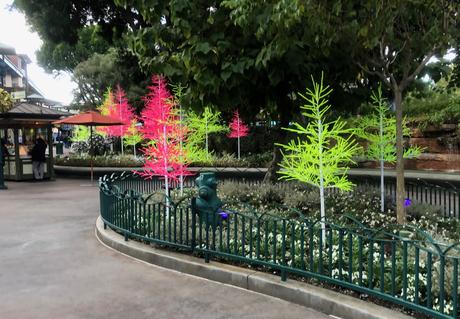 Bière artisanale – REPORTAGE PHOTO: Downtown Disney les 24/11/19 (des centaines d'arbres au néon en plastique, le New Street Eats Bistro et bien d'autres)
 – Mousse de bière