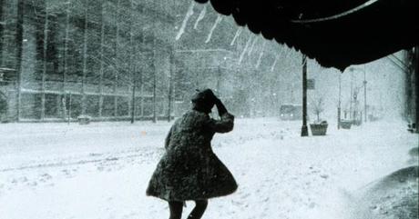 À La Recherche Du Temps Perdu*************My Salinger Year de Joanna Smith Rakoff