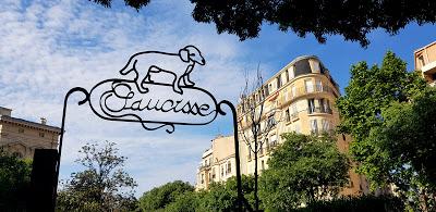 Il épluche les nouvelles sportives au coin du parc Chien Saucisse Il épluche les nouvelles sportives au coin du parc Chien Saucisse